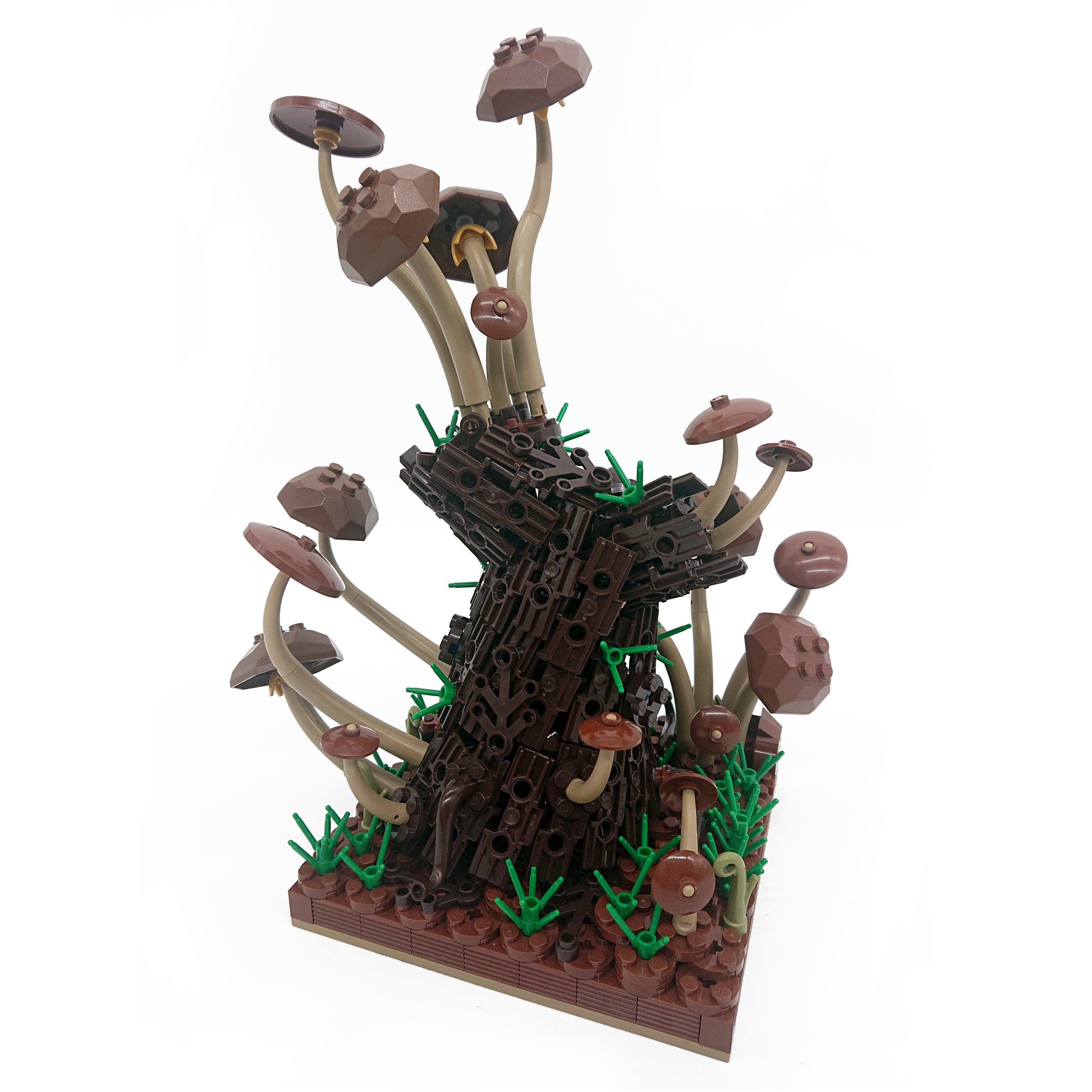 The Mushroom Tree di Paolo Loro