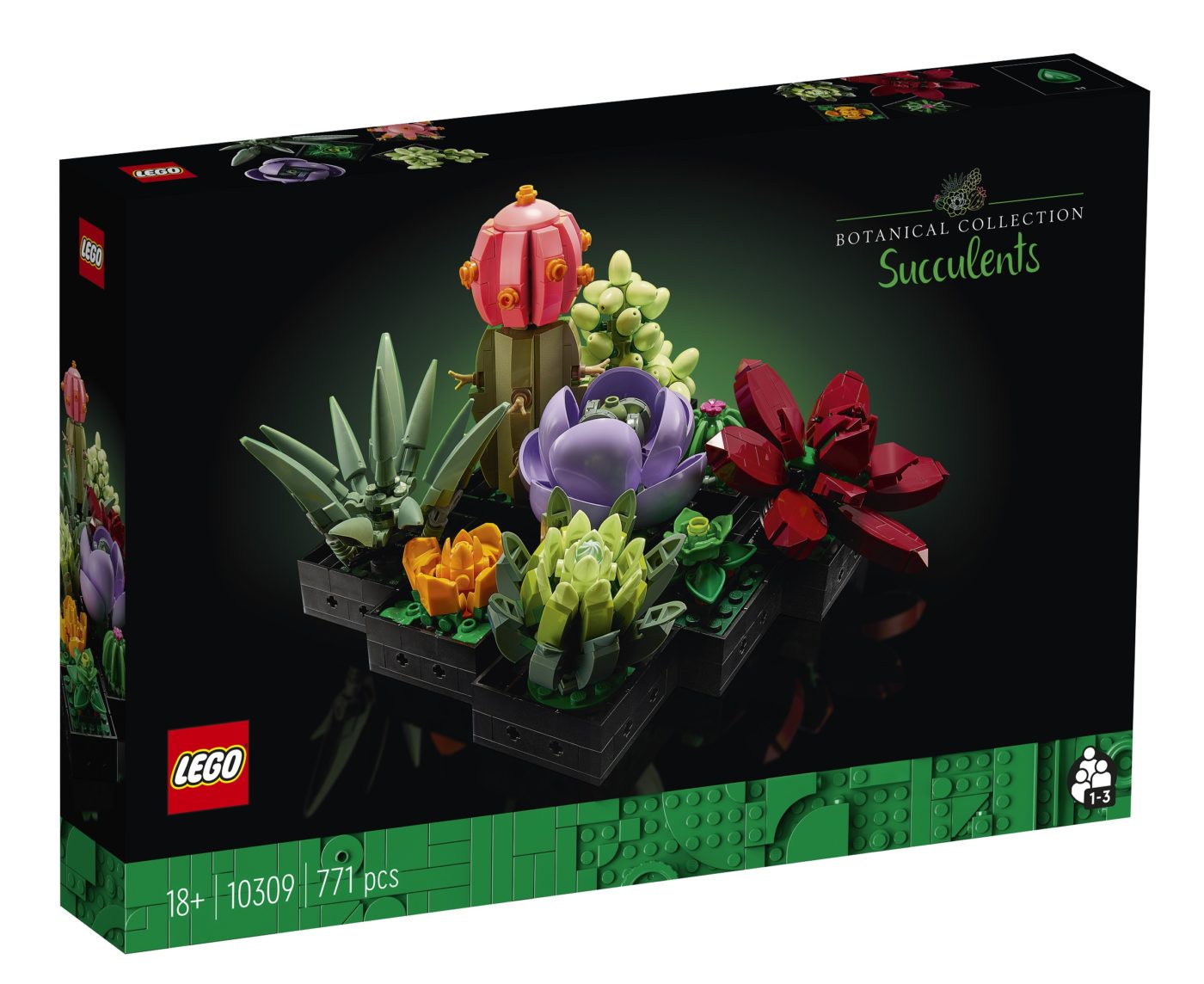 LEGO® 10309 Succulents – Recensione
