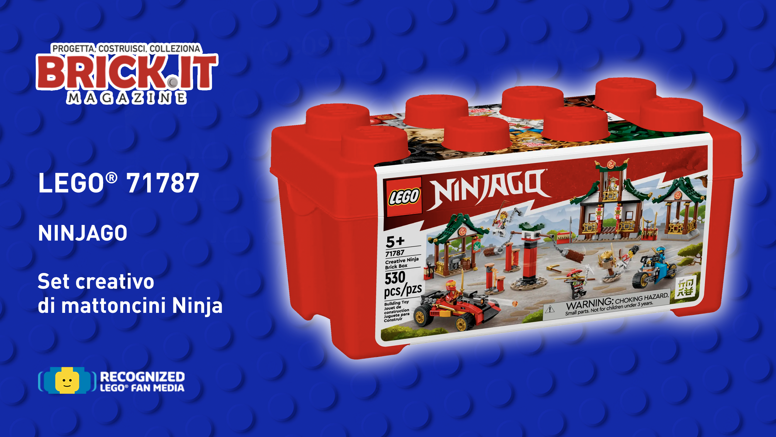 LEGO® 71787 – Creative Ninja Brick Box – Recensione