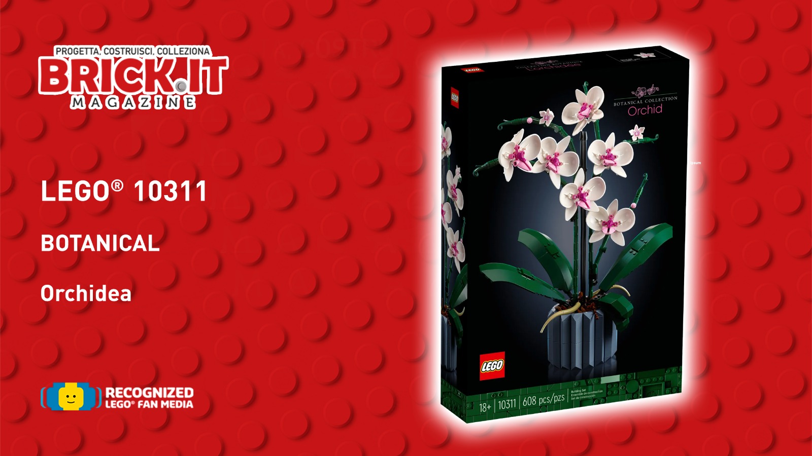 LEGO® 10311 – “Botanical Collection” LEGO Icons Orchidea – Recensione