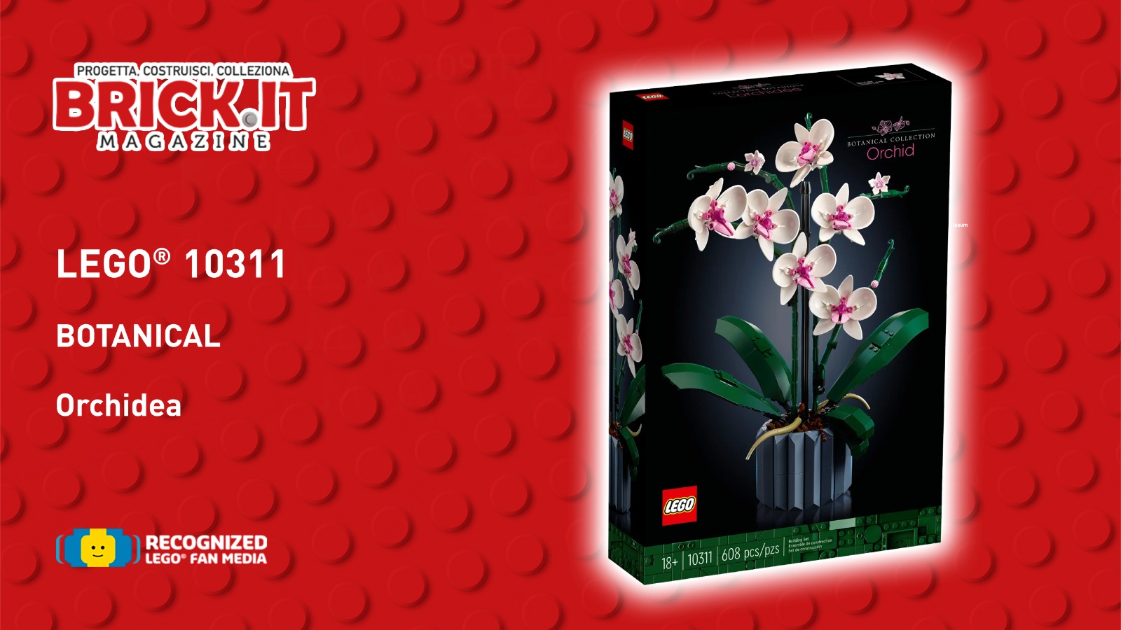 LEGO® 10311 – “Botanical Collection” LEGO Icons Orchidea - Recensione -  Brick.it Magazine