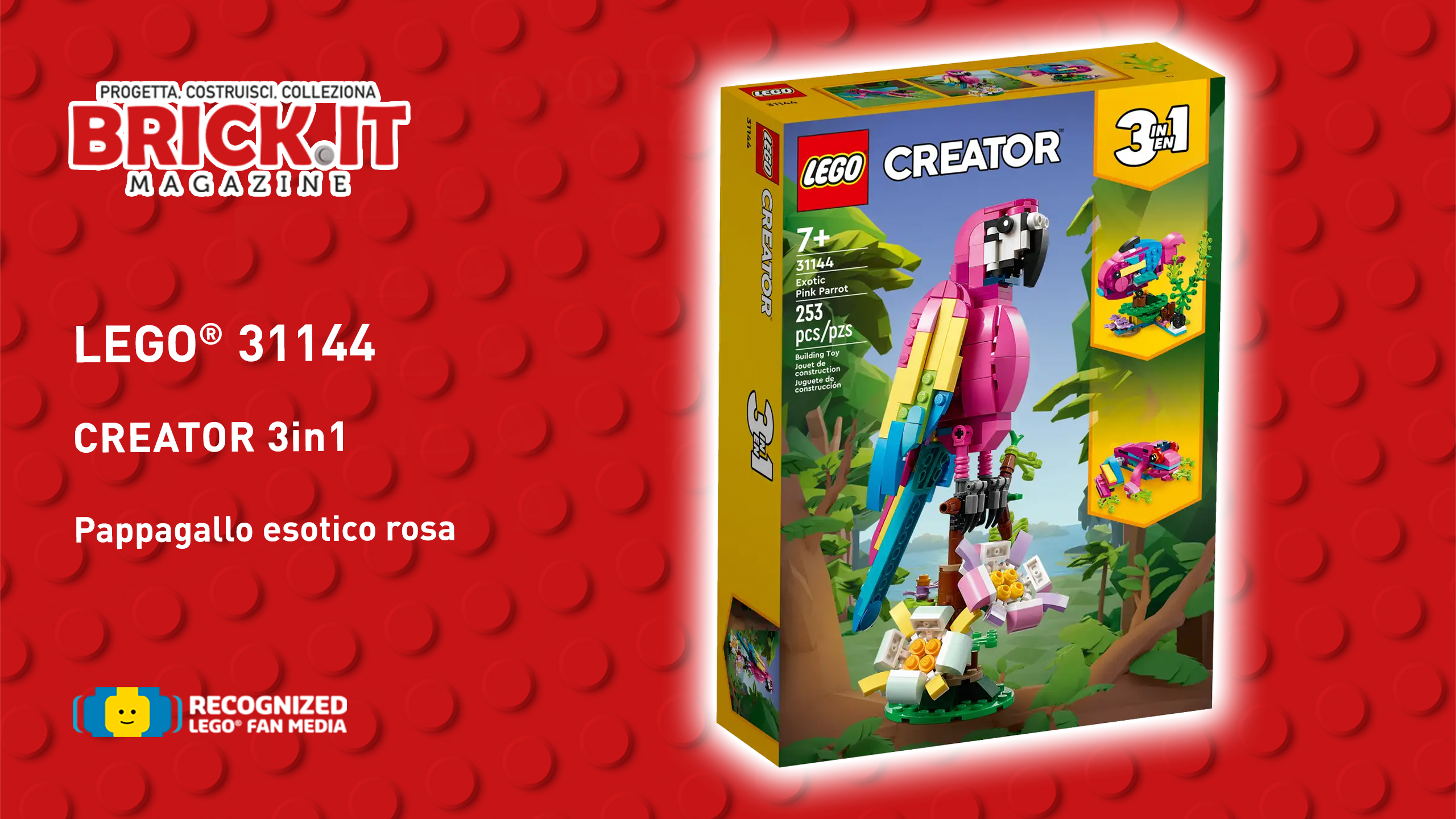 LEGO® 31144 Creator 3-in-1 - Exotic Pink Parrot- Recensione - Brick.it  Magazine