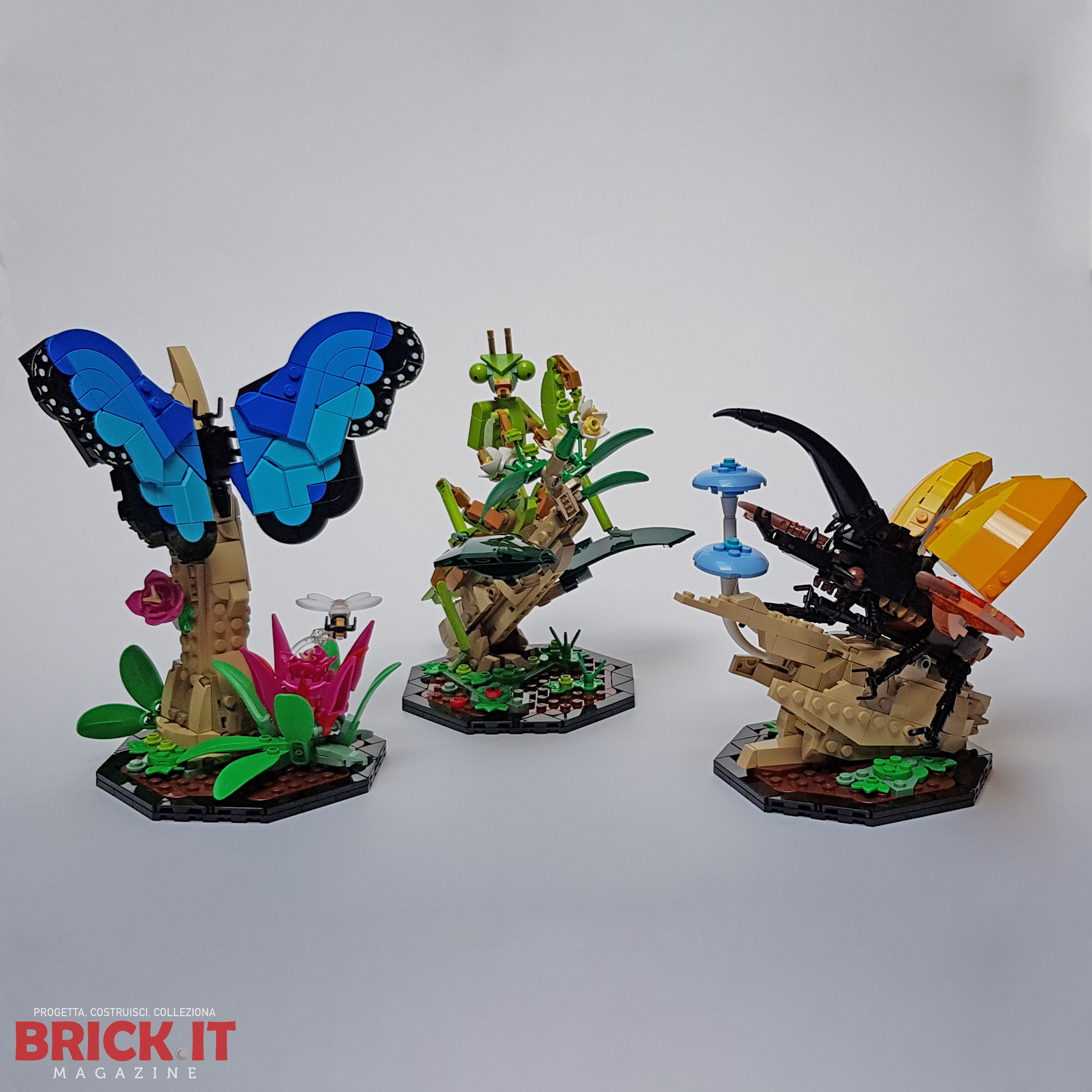 LEGO Ideas The Insect Collection (21342) – Recensione