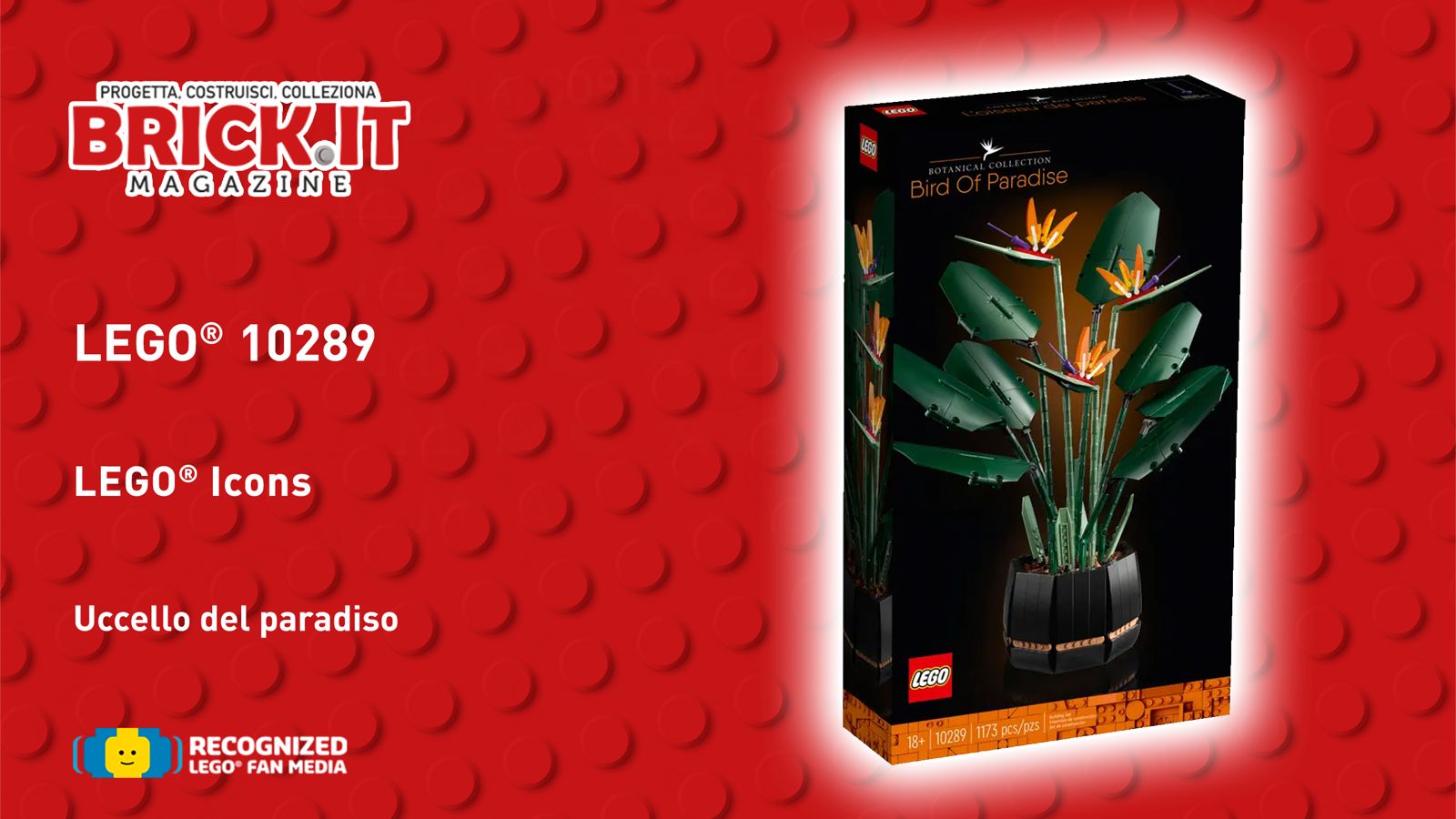 LEGO® Botanical Collection 10289 - Bird of Paradise - Recensione - Brick.it  Magazine