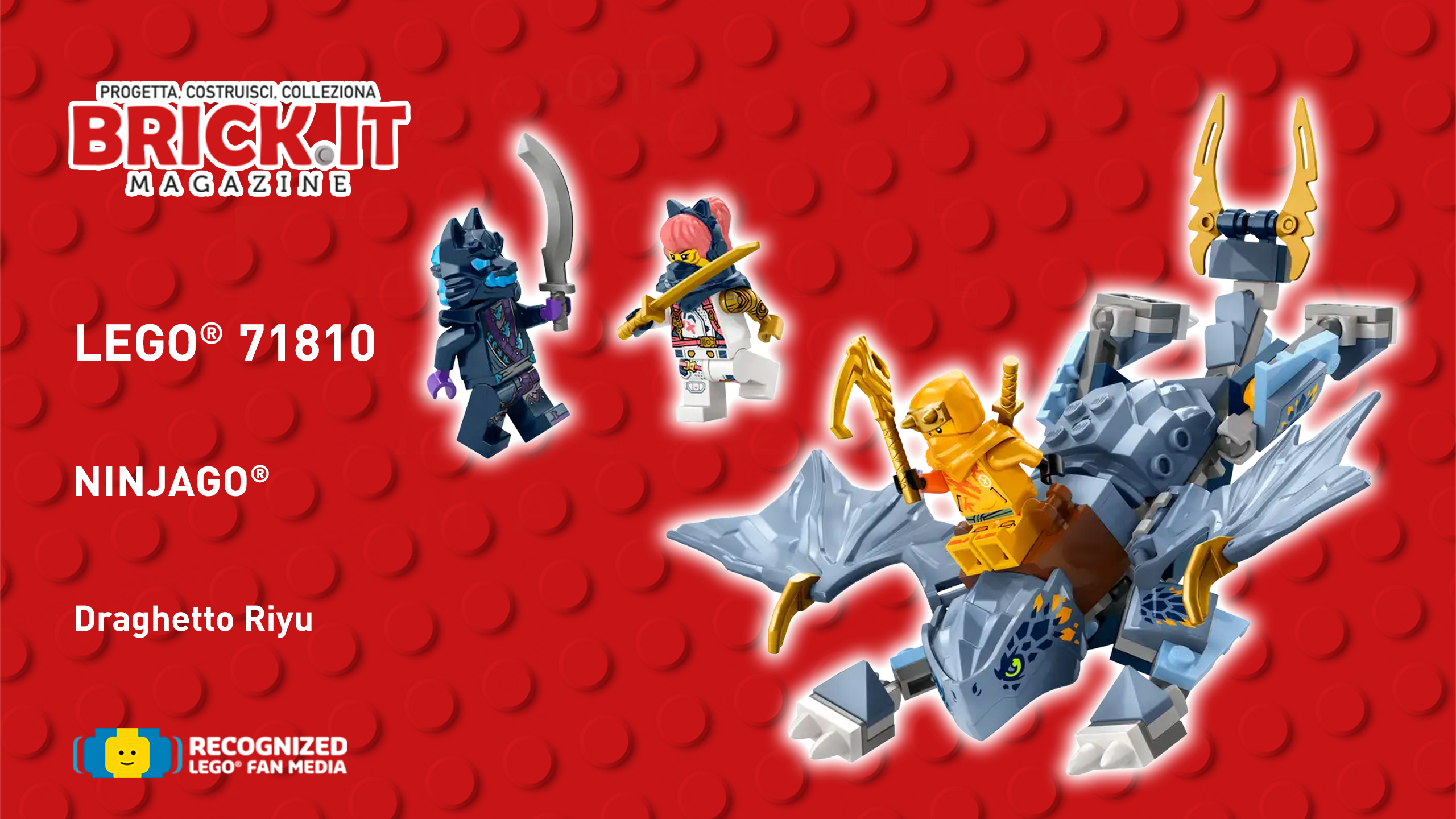 LEGO® NINJAGO DRAGON RISING #71810 – YOUNG DRAGON RIYU