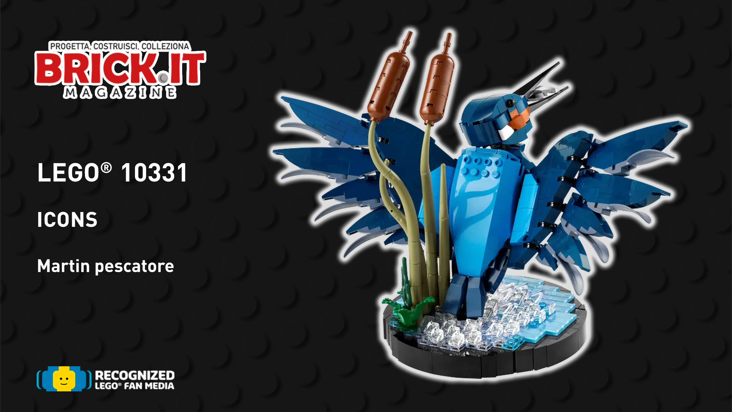 LEGO® Icons – 10331 Kingfisher – Recensione
