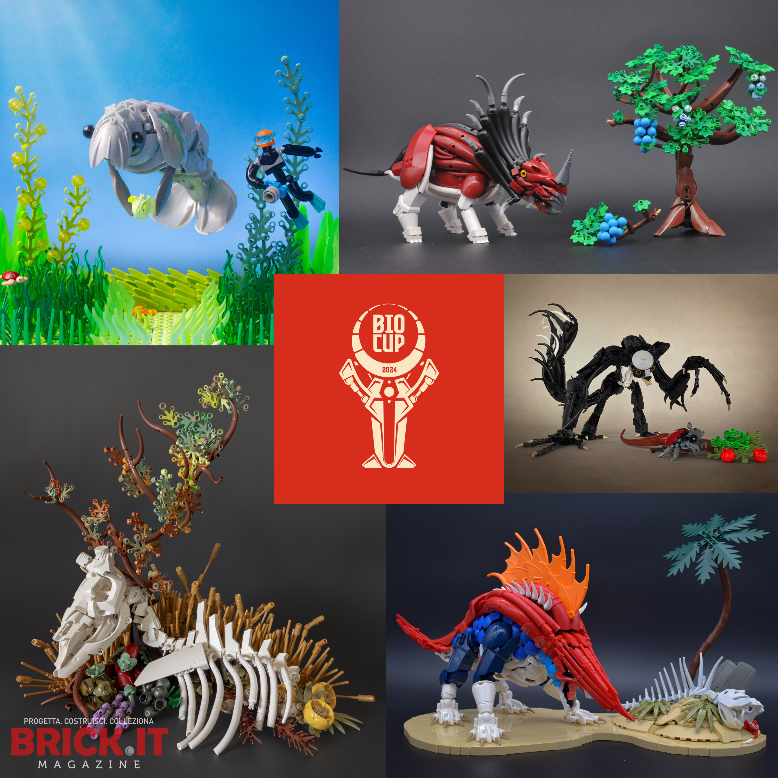 Bio-Cup 2024 – Terzo Round: Diete